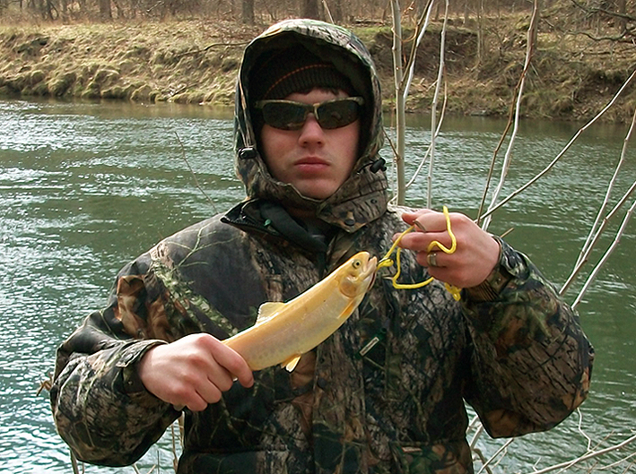 stansgoldtrout1a.jpg